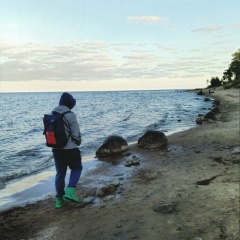 Рома Пархоменко