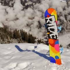 Алексей Горбатенко, 36 лет