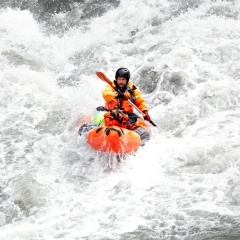 Александр Лось