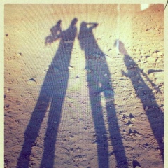 Елена Попова, 38 лет